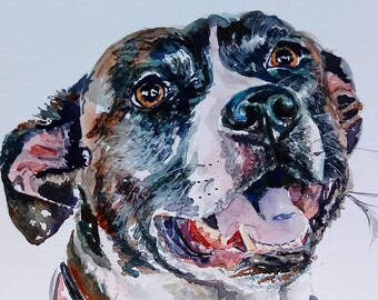 Pibble/pittie/pit bull/am staf/Dog Lover Gift/Dog Memorial/Dog Birthday/Gotcha Day/Custom Pet Portrait/Custom Art/Free Shipping