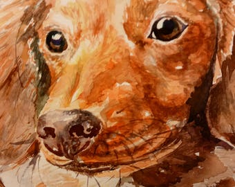 Dachshund/Watercolor portrait/ Weiner dog/Dog Lover Gift/Dog Memorial/Dog Birthday/Gotcha Day/Custom Pet Portrait/Custom Art/Free Shipping