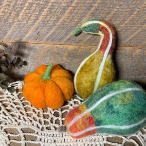 May include: Three needle-felted decorative gourds and a pumpkin. One gourd is tall and curved with yellow, orange, and green tones. Another is rounded and green with orange accents. The pumpkin is bright orange with a small green stem.