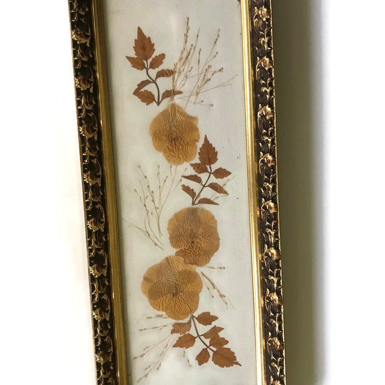 Vintage Framed Pressed Dried Flowers Botanical Art in 13 ...