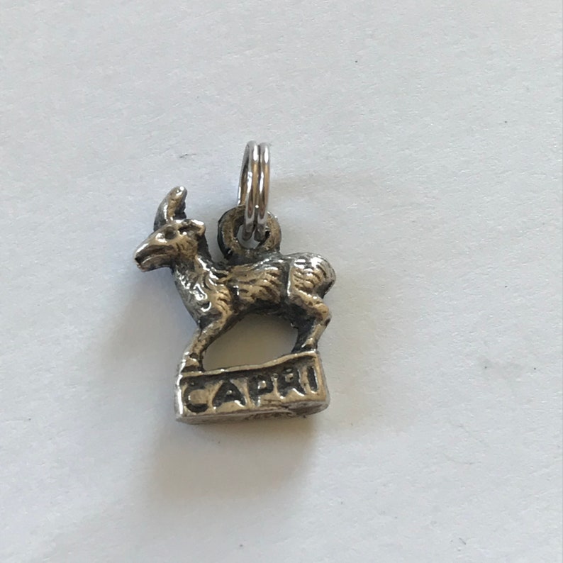 Zodiac Sign Capri Astrology Vintage Sterling Silver Capricorn Pendant or Charm