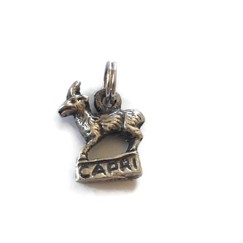 Zodiac Sign Capri Astrology Vintage Sterling Silver Capricorn Pendant or Charm