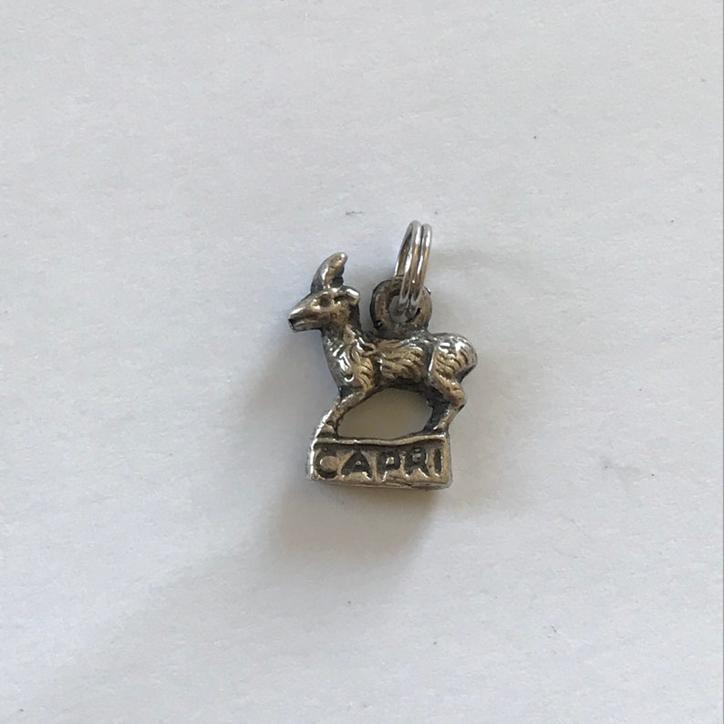 Zodiac Sign Capri Astrology Vintage Sterling Silver Capricorn Pendant or Charm