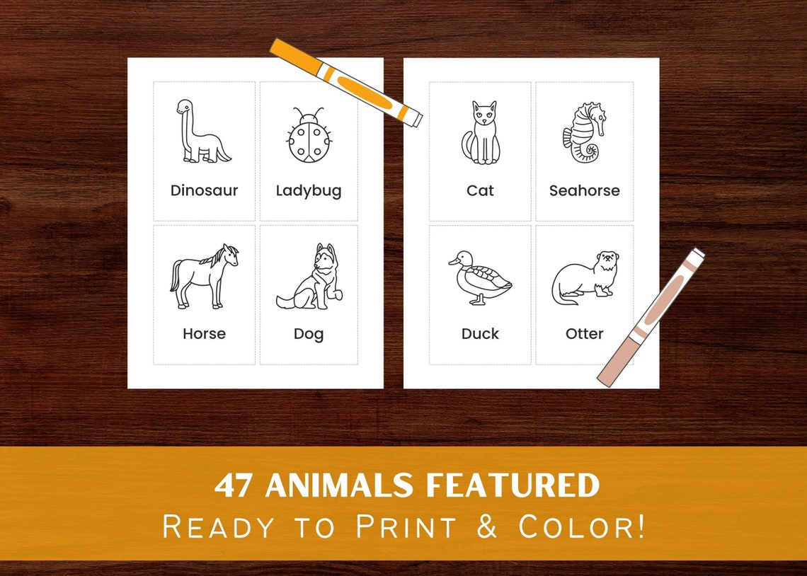 Preschool Printable Flash Cards Bundle Color Flashcards - Etsy