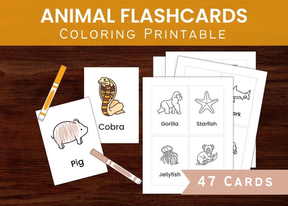 Animals Flashcards / Printable Coloring Animal Flash Cards - Etsy