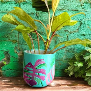 May include: A potted plant with large green leaves and reddish stems. The plant is in a turquoise ceramic pot decorated with pink and purple tropical leaf designs. The background is a textured green wall.