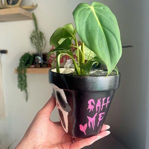 May include: A black painted flower pot with a white Scream mask design and pink text that says "Call Me". The pot contains a green plant with large leaves. The pot is held by a person.