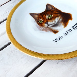 you are great plate of Vintage cat 19 cm of Deko dish plate wall hanging image 2