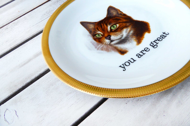 you are great plate of Vintage cat 19 cm of Deko dish plate wall hanging imagem 2