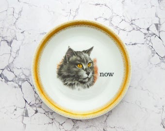 Può includere: Un piatto rotondo in porcellana bianca con un'illustrazione dettagliata di un gatto grigio dagli occhi giallo brillante. Il piatto presenta un ampio bordo color oro con motivi complessi. La parola now è stampata in nero a destra del gatto.