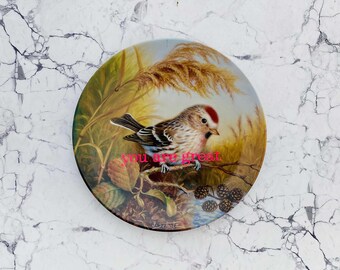 Piatto da parete uccello 19 cm vintage interni soggiorno sei fantastico neon Mr. Fox soggiorno fanello comune