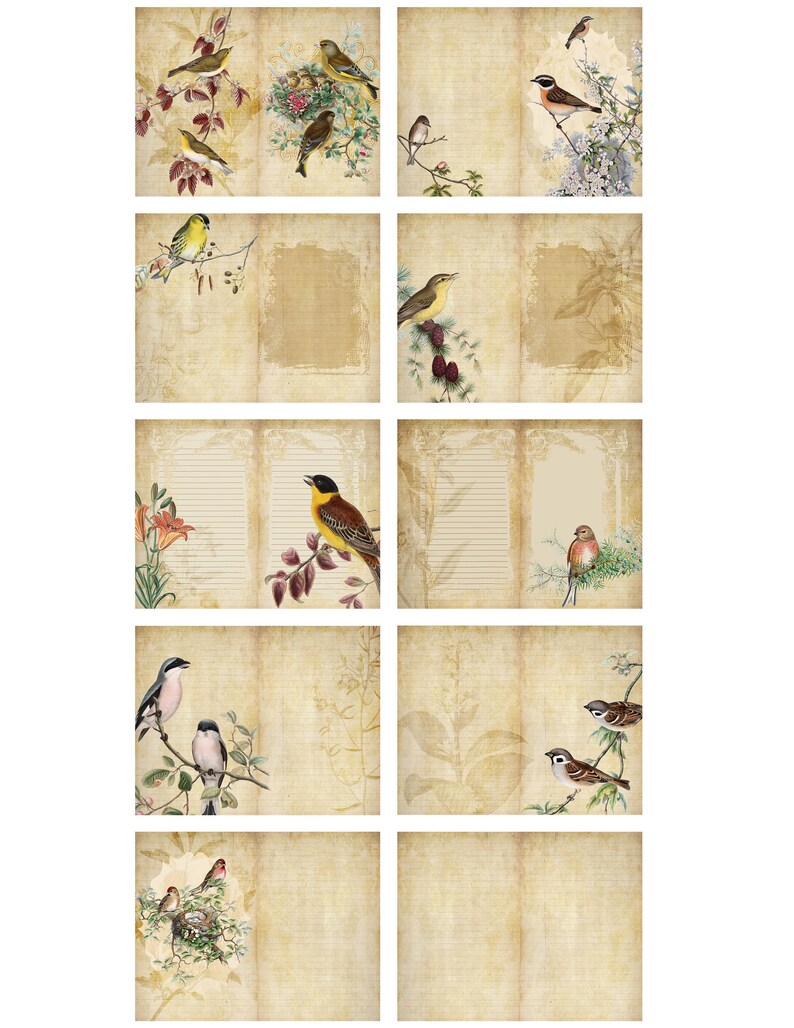 Printable Diy Journal Pages Vintage Birds Digital Paper Pack Grunge ...