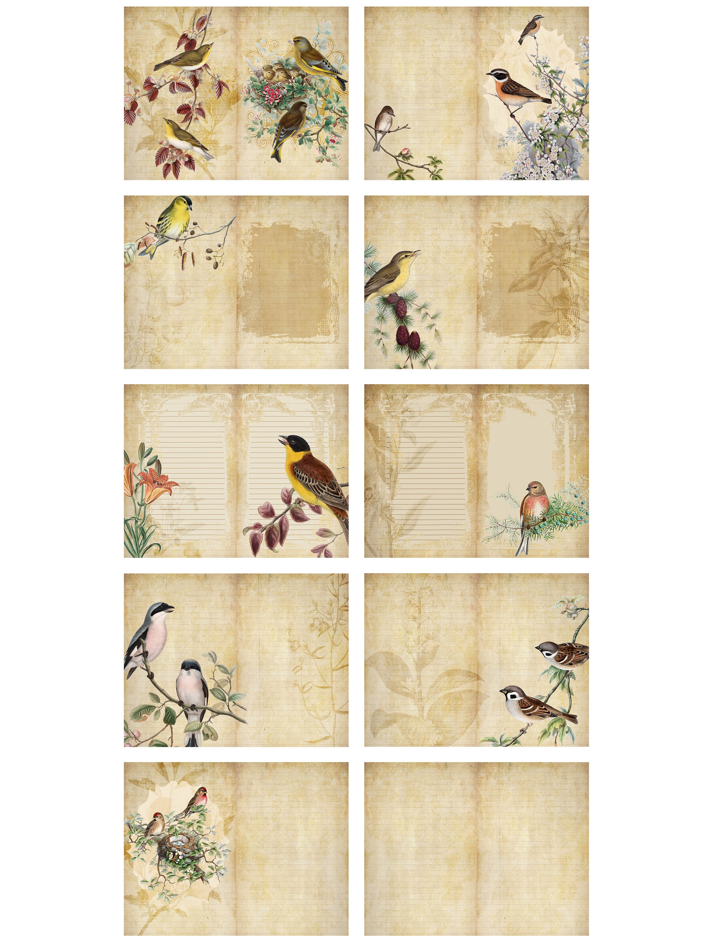 Printable Diy Journal Pages Vintage Birds Digital Paper Pack Grunge ...