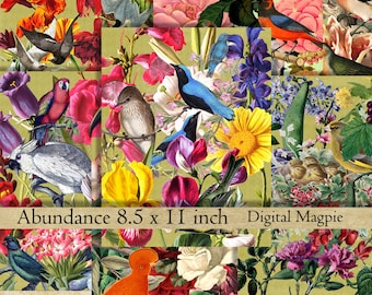 digital paper pack scrapbook paper birds foliage floral colorful vintage collage sheet printable instant download altered art