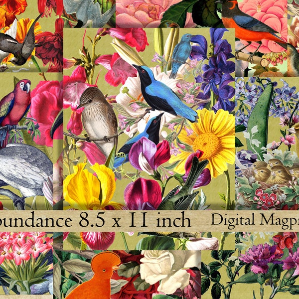 digital paper pack scrapbook paper birds foliage floral colorful vintage collage sheet printable instant download altered art