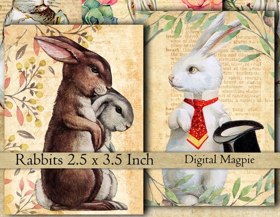 16 Rabbits Vintage Images Collage Sheet Bunnies Instant