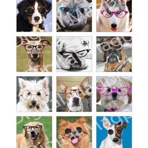 Dogs In Specs Digital Collage Sheet 2 inch squares instant download funny images of dogs to use for pendants image 2