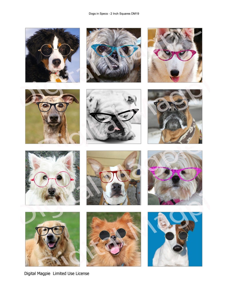 Dogs In Specs Digital Collage Sheet 2 inch squares instant download funny images of dogs to use for pendants image 2