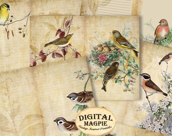 printable diy journal pages Vintage Birds digital paper pack grunge shabby diary collage sheet journaling instant download scrapbook