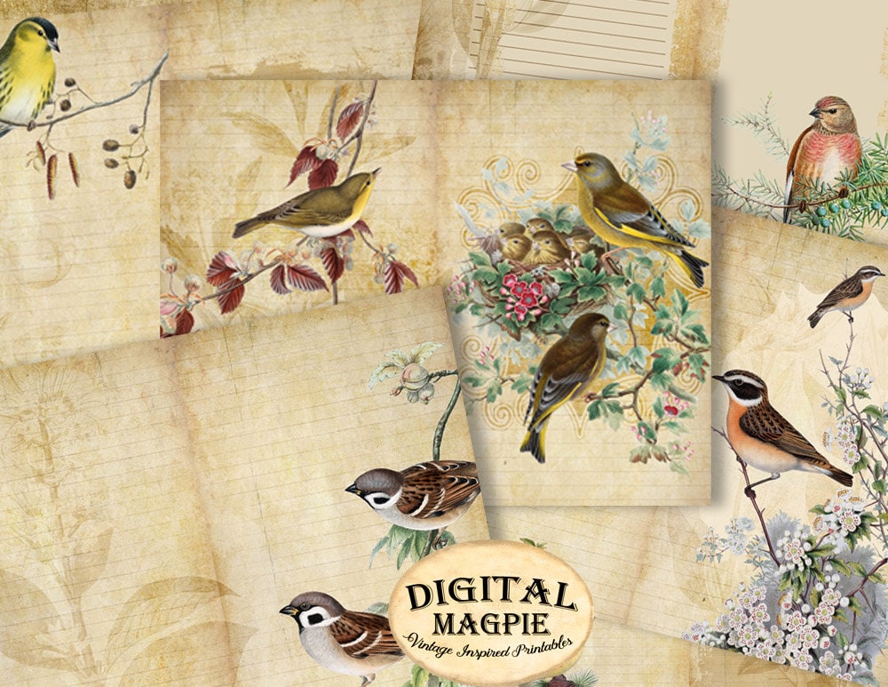 Printable diy journal pages Vintage Birds digital paper pack | Etsy