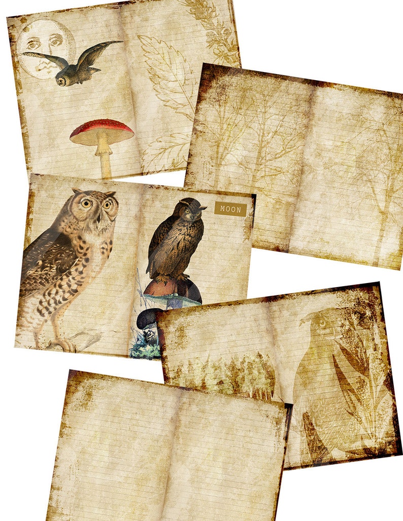 Printable diy journal pages Vintage Owls digital paper pack Etsy
