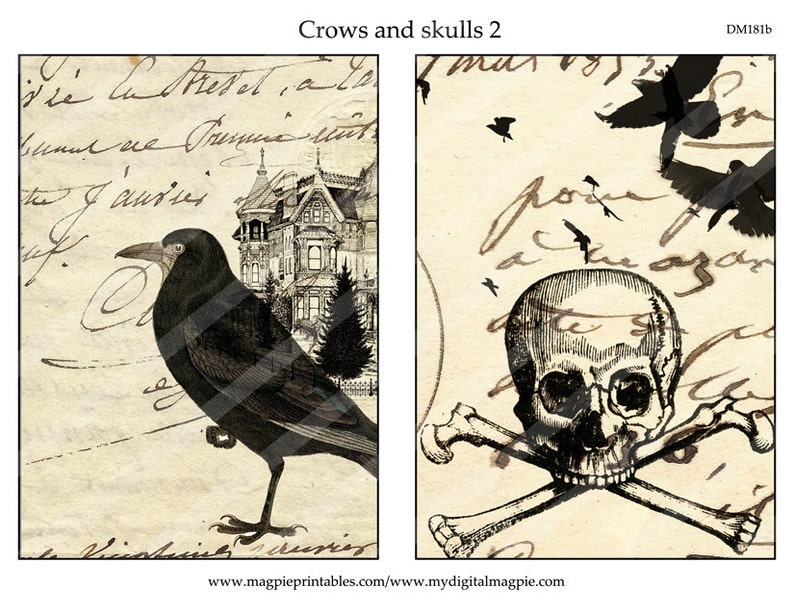 Halloween digital collage sheet printable ATC tag 2.5 x 3.5 inch vintage image download crow skull craft and scrapbooking instant download image 5
