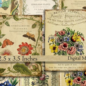Vintage printable tags digital download 2.5 x 3.5 aged gift tags instant download Victorian herbal plants flowers botany