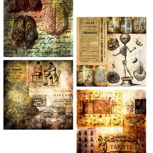 Pode incluir: Uma colagem de ilustra&ccedil;&otilde;es m&eacute;dicas antigas e texto. As imagens incluem um c&eacute;rebro humano, um esqueleto, um frasco de p&iacute;lulas e uma variedade de outros s&iacute;mbolos m&eacute;dicos. O texto inclui as palavras "O&C's Cough Remedy" e "Boschee's German Syrup & Green's August Flower".