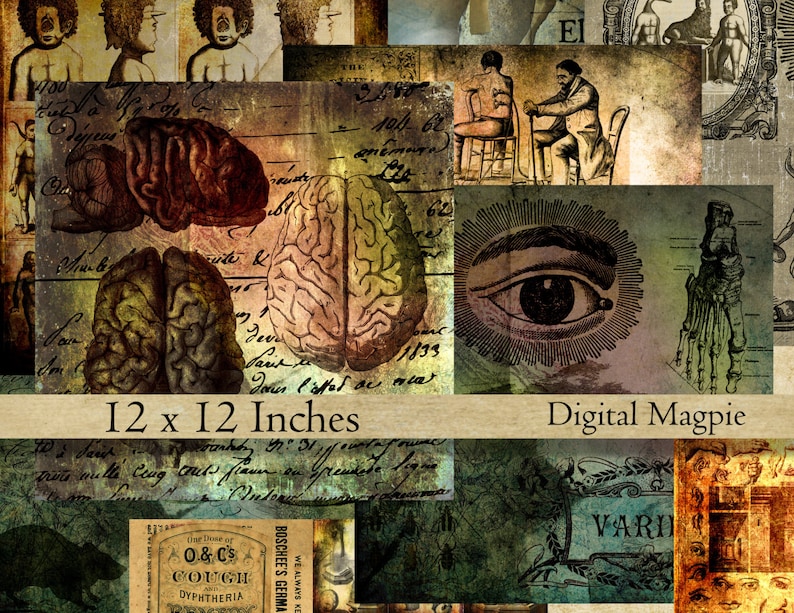 Pode incluir: Uma colagem digital de ilustra&ccedil;&otilde;es e texto vintage, incluindo um c&eacute;rebro humano, um olho, uma m&atilde;o de esqueleto e uma garrafa de xarope para tosse. A colagem mede 30,48 cm por 30,48 cm e tem um fundo de papel castanho.