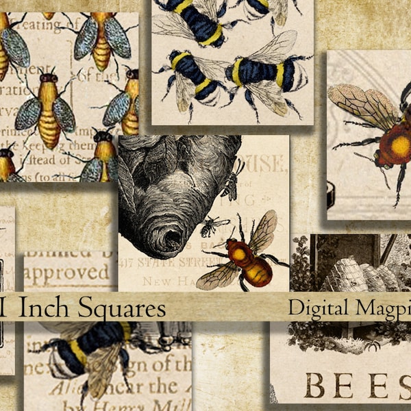 Bees 1 inch square digital download collage sheet inchies printable bee images instant download for pendants jewelry magnets bezel