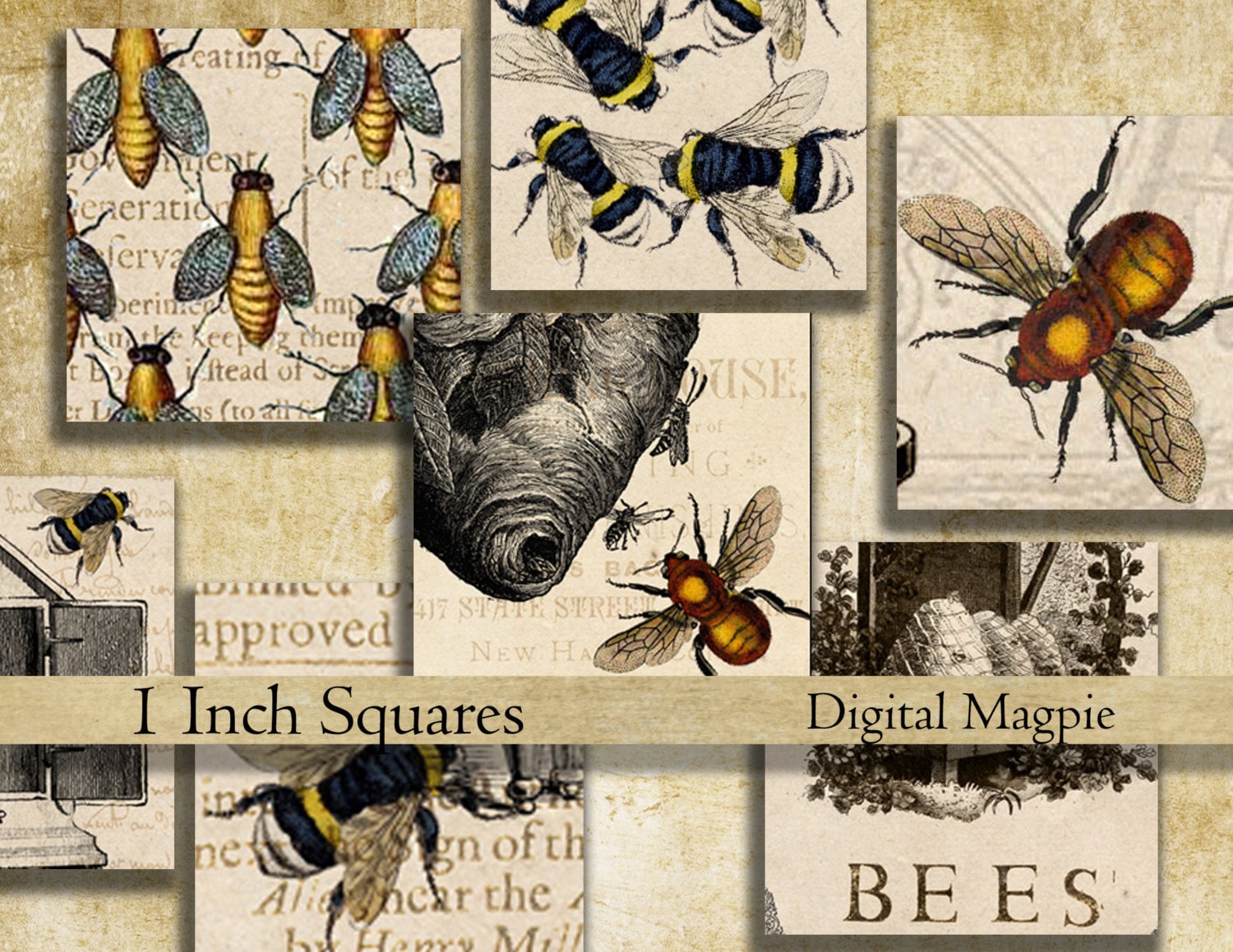 Bees 1 inch square digital download collage sheet inchies printable bee images instant download for pendants jewelry magnets bezel