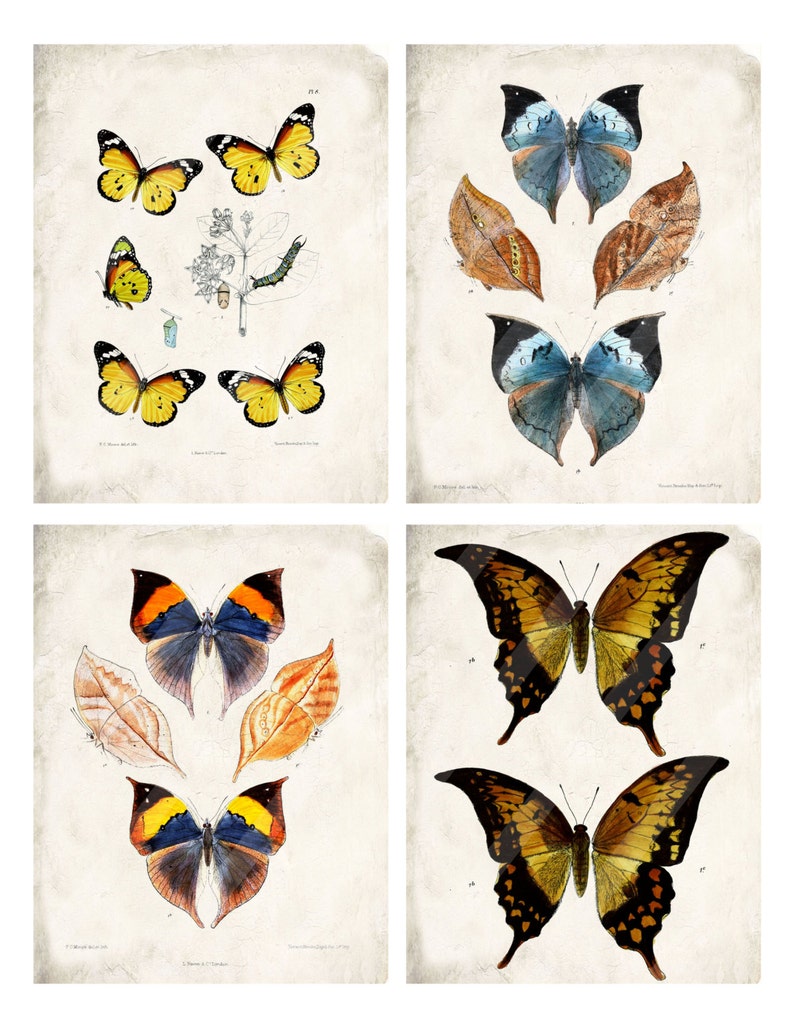 vintage butterflies digital scrapbook paper printable shabby etsy