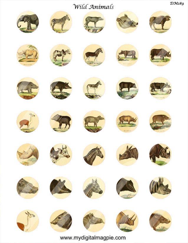 1 inch circles vintage wild animals digital collage sheet | Etsy
