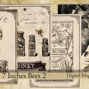 Bees digital collage sheet vintage shabby honey bee image antique printable card beekeeping 5 x 7 altered art digital clipart download