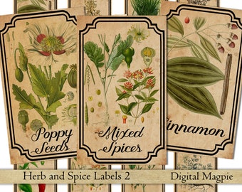 Etiketter för apotekare med örter och kryddor, digitalt utskrivbara vintage-etiketter för burkar, flaskor och scrapbooking-utsmyckning