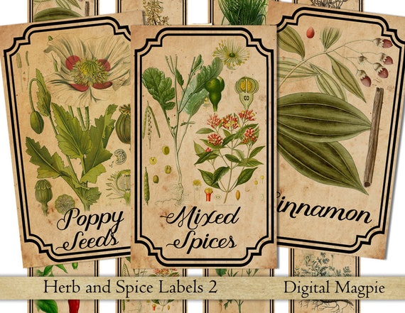 herb and spice apothecary labels digital printable vintage etsy