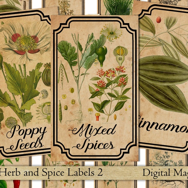 Herb and spice apothecary labels digital printable vintage labels for jars bottles tags and scrapbook embellishment