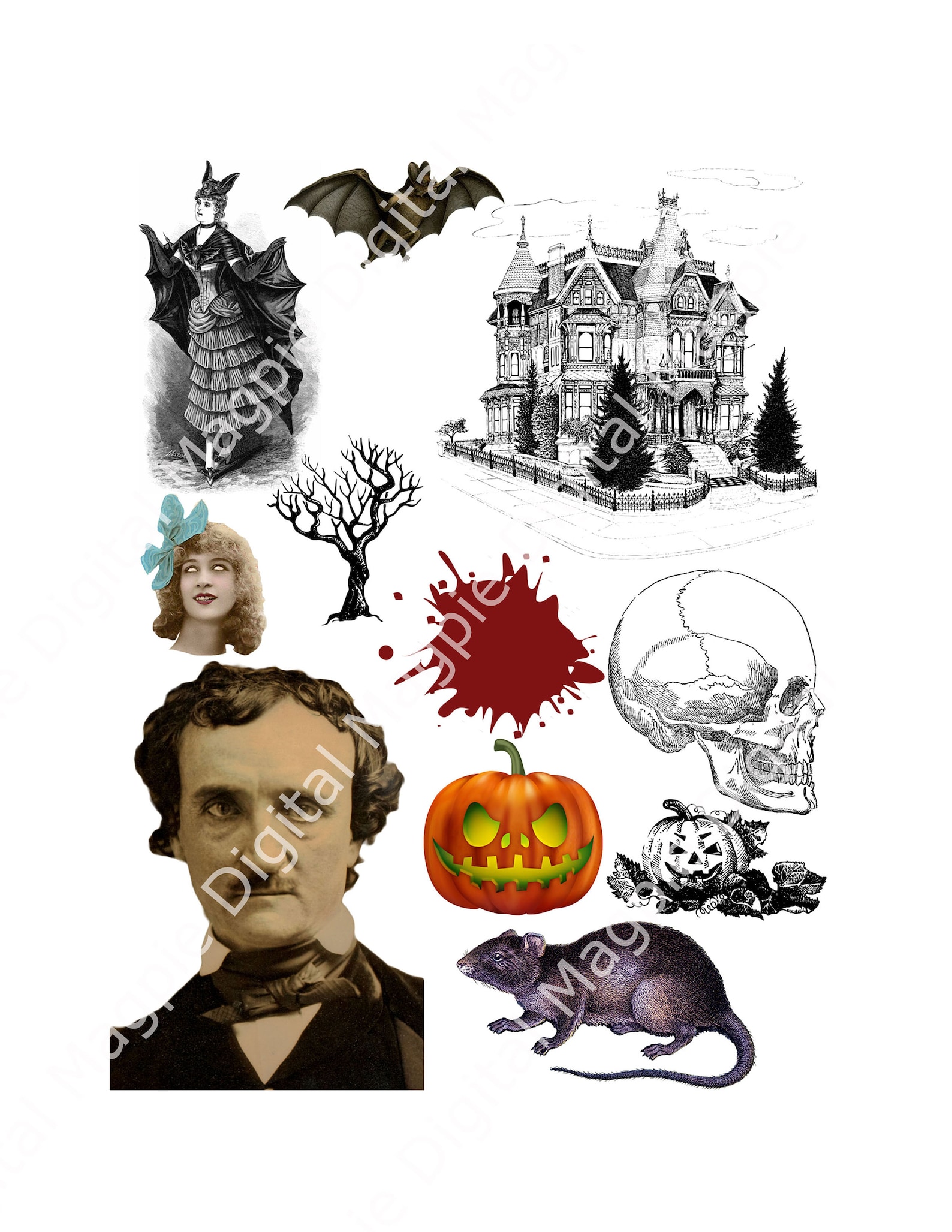 Halloween Digital Collage Sheet Clipart Graphics Witch - Etsy