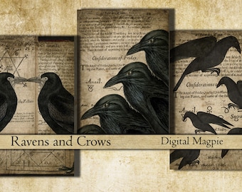 Ravens and Crows images Halloween digital collage sheet tags atc gift tag jewellery card scrapbooking download gothic creepy rooks art craft