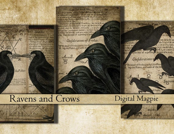 Ravens and Crows images Halloween digital collage sheet tags atc gift tag jewellery card scrapbooking download gothic creepy rooks art craft