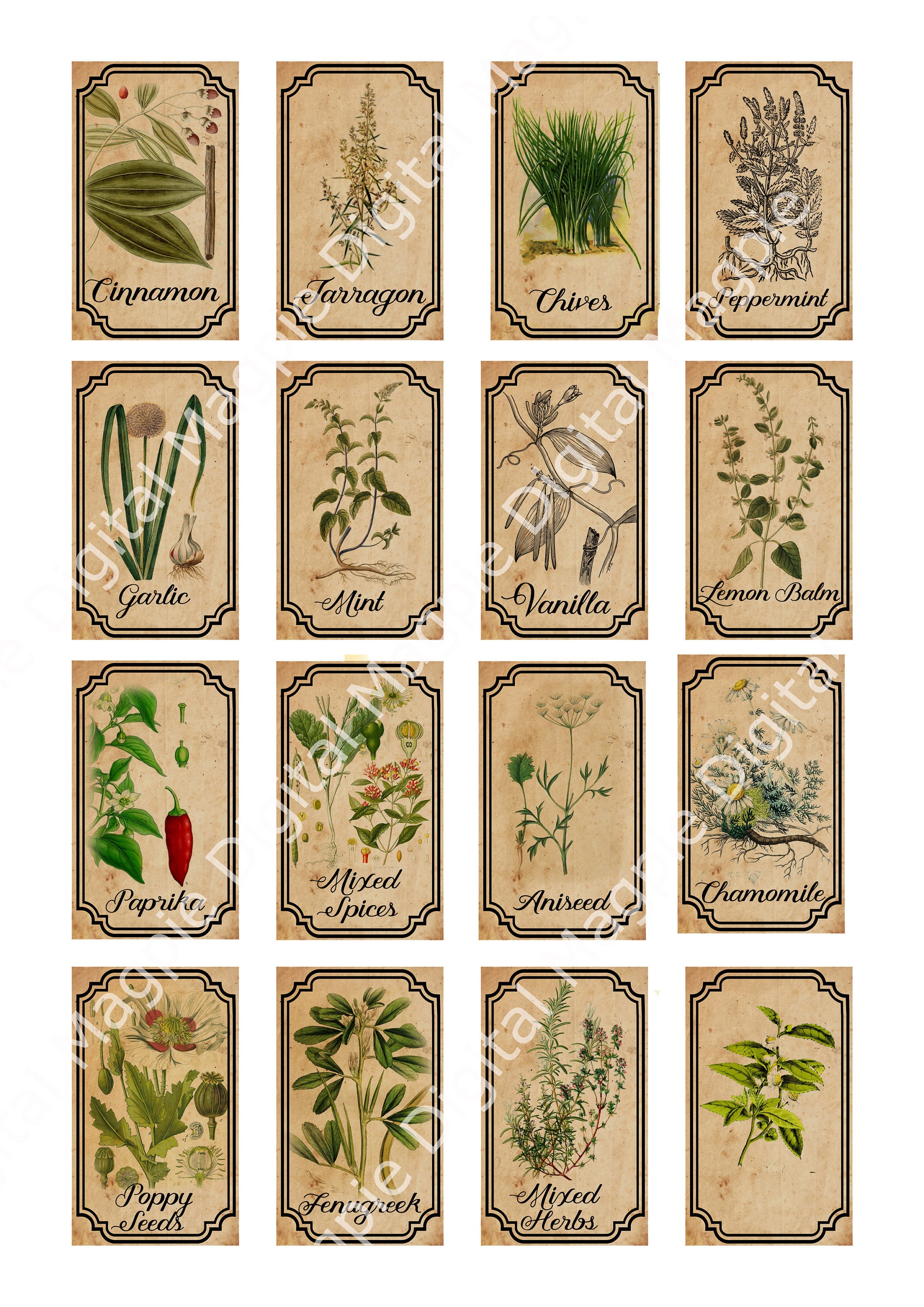 Herb and Spice Apothecary Labels Digital Printable Vintage Labels for