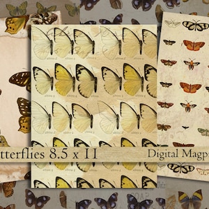 Shabby vintage butterflies digital paper pack printable scrapbook old paper background grunge aged butterfly altered art instant download