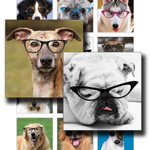 Dogs In Specs Digital Collage Sheet 2 inch squares instant download funny images of dogs to use for pendants image 1