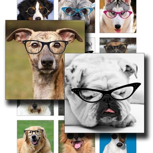 Dogs In Specs Digital Collage Sheet 2 inch squares instant download funny images of dogs to use for pendants