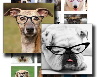 Dogs In Specs Digital Collage Sheet 2 inch squares instant download funny images of dogs to use for pendants