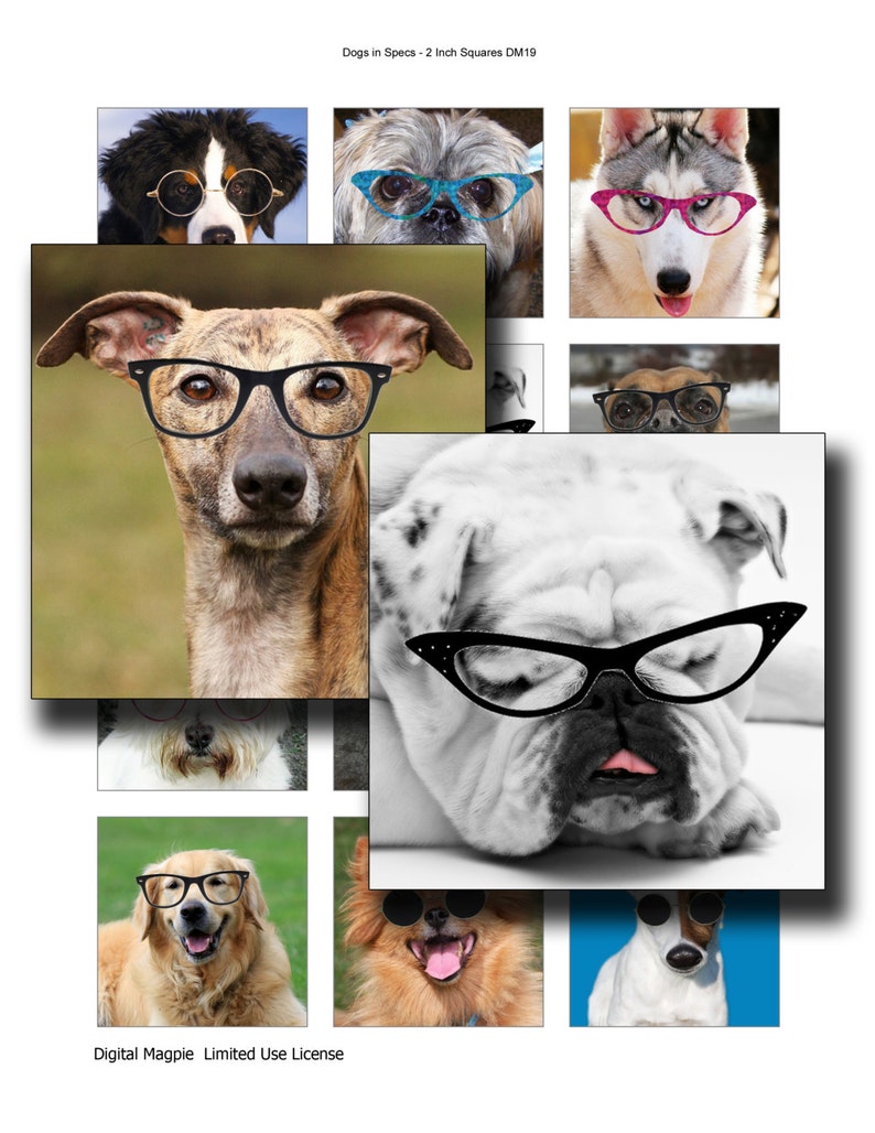 Dogs In Specs Digital Collage Sheet 2 inch squares instant download funny images of dogs to use for pendants image 1