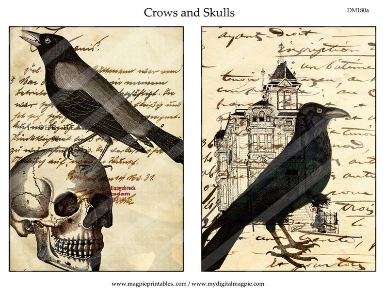 Halloween digital collage sheet printable ATC tag 2.5 x 3.5 inch vintage image download crow skull craft and scrapbooking instant download image 2