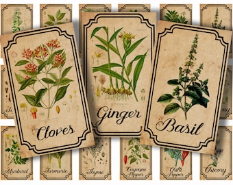 Herb and spice apothecary labels digital printable vintage labels for jars bottles tags and scrapbook embellishment