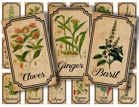 DIY Vintage Apothecary Spice Bottles