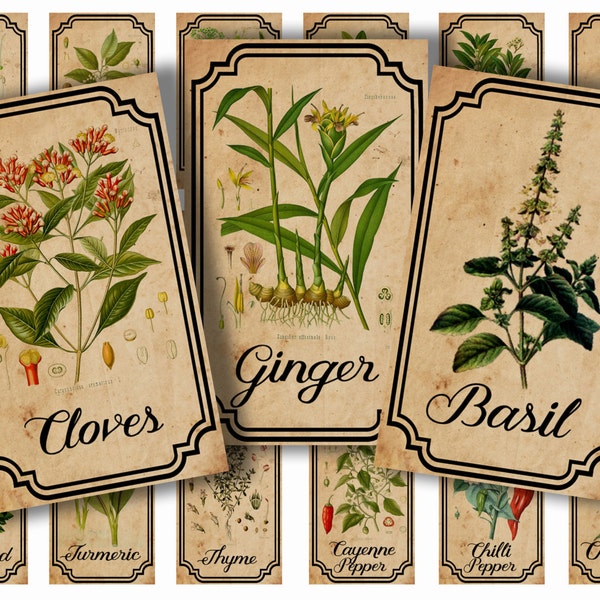 Herb and spice apothecary labels digital printable vintage labels for jars bottles tags and scrapbook embellishment